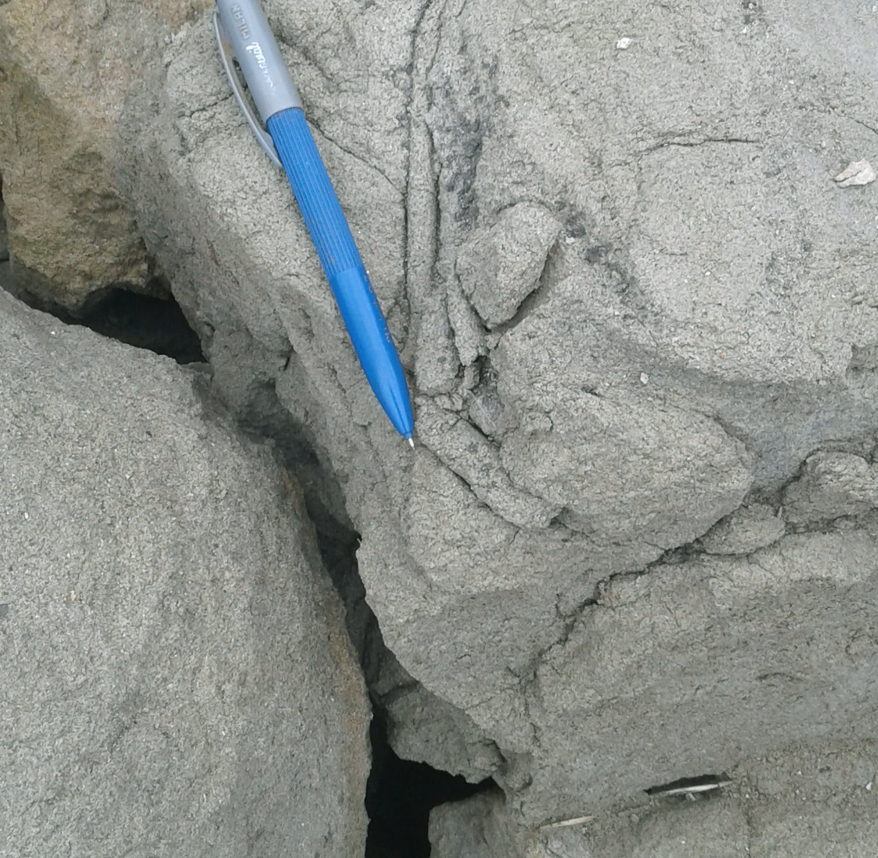 roca sedimentaria